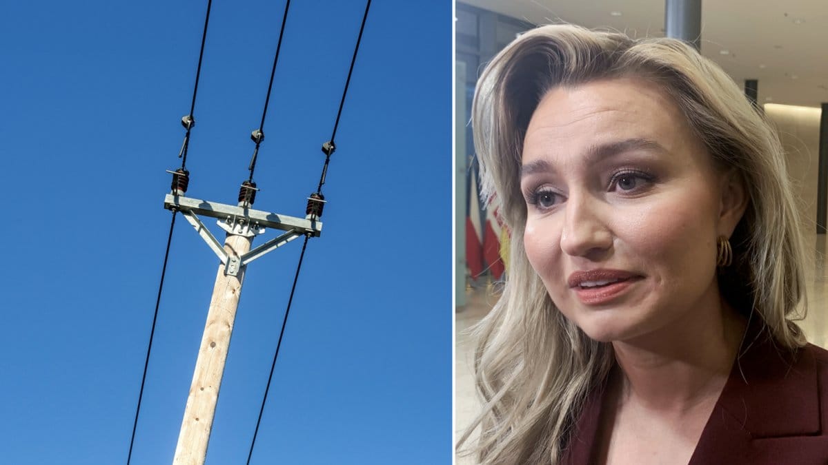 Ebba Busch och regeringen kom med besked om högkostnadsskydd för höga elpriser.