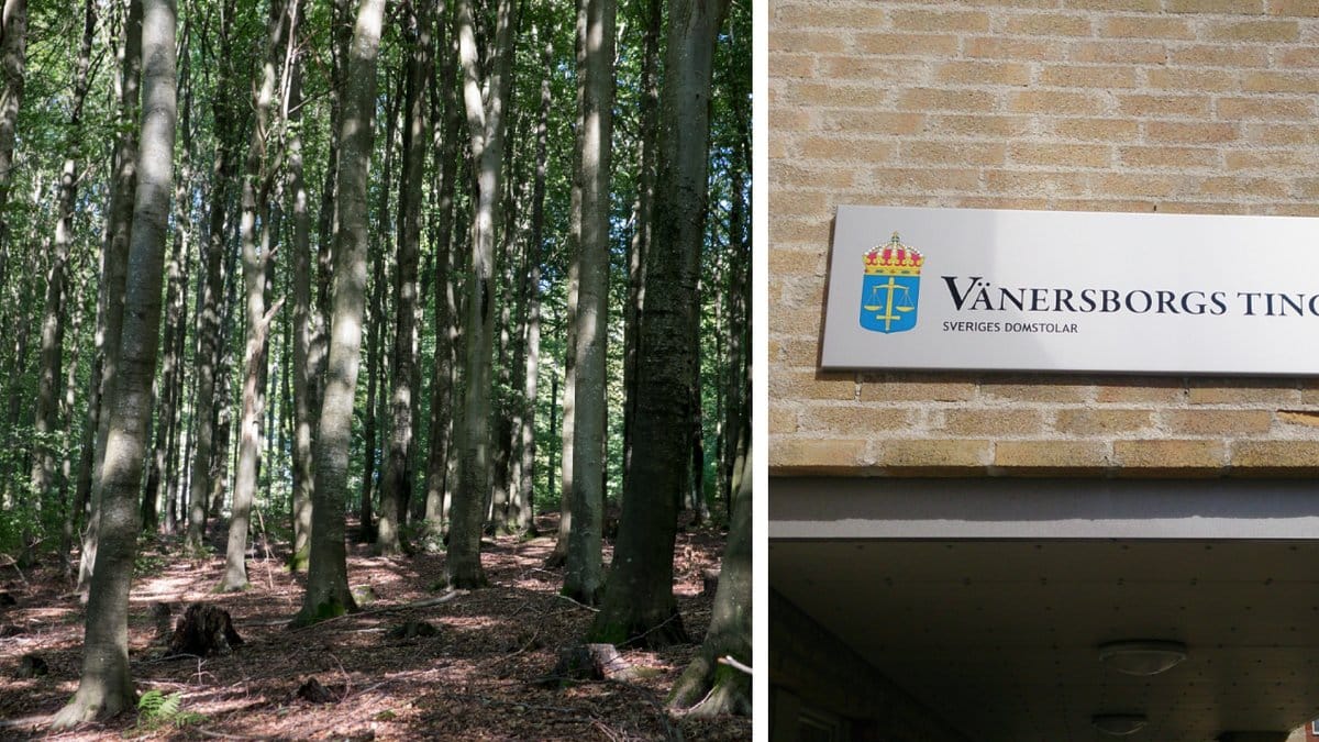 De nio ungdomarna åtalas nu i Vänersborgs tingsrätt.