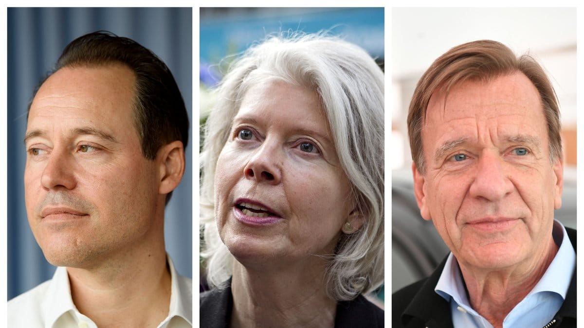 Vilka tjänar mest i Sverige? Här är listan över de mest välbetalda under taxeringsåret 2021.