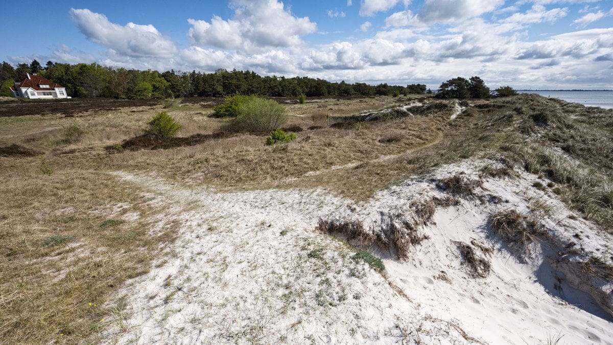 Mänskliga skelettdelar har hittats på strand i Skanör. 