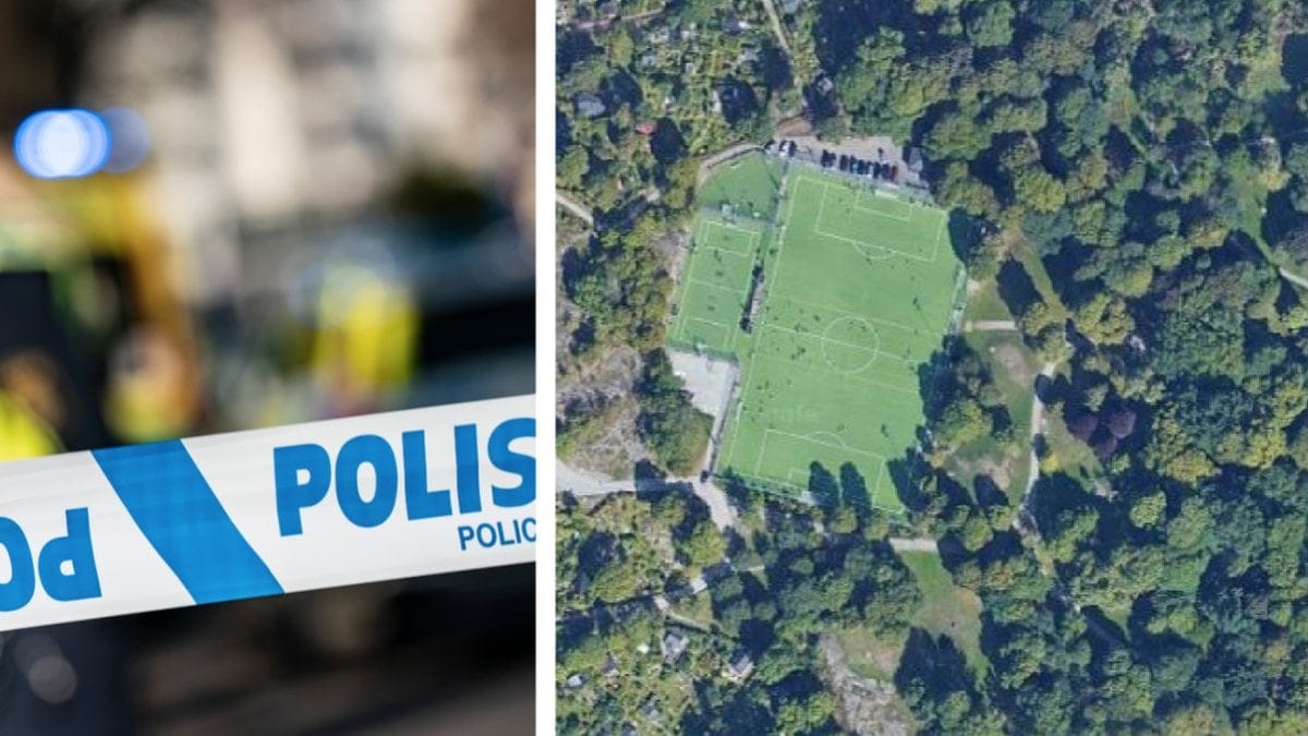 Kvinnan våldtogs nära fotbollsplanen i Tantolunden.
