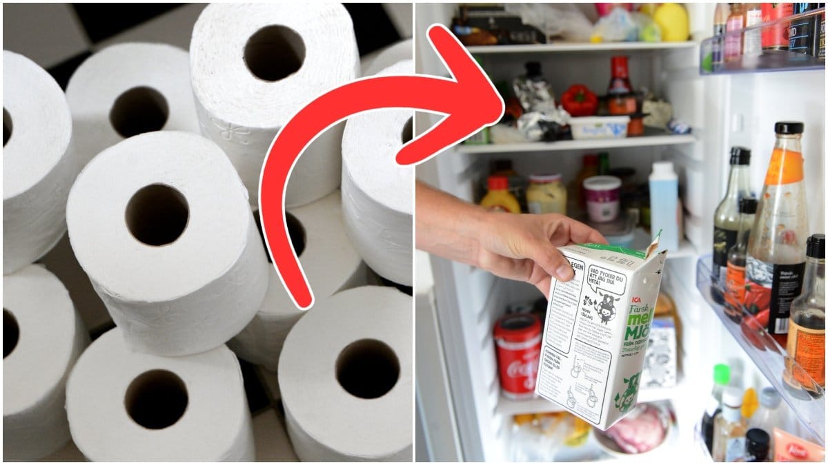 Har du också reagerat på varför folk förvarar toalettpapper i kylskåpet?