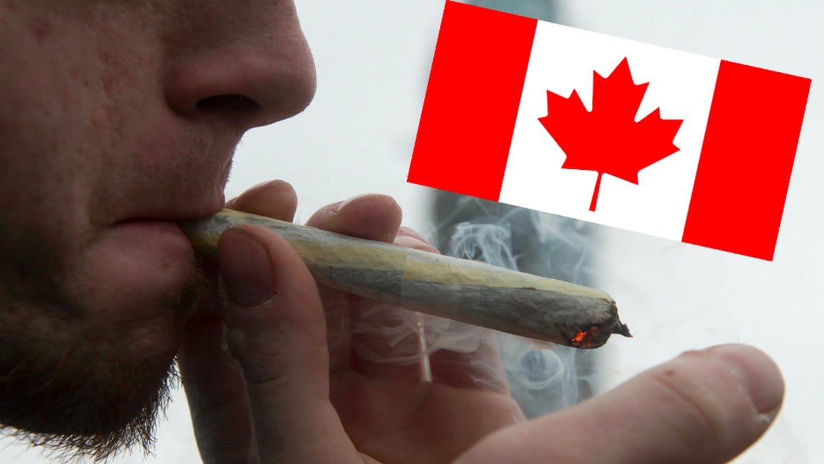 Cannabis