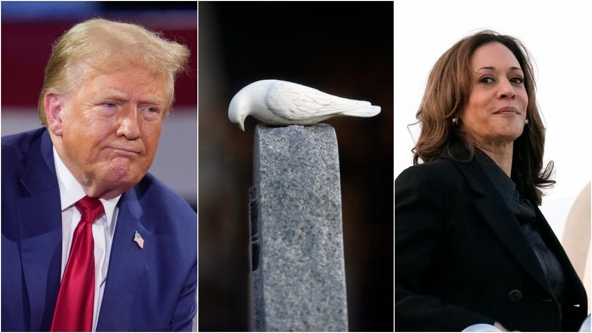 Vad händer egentligen om en presidentkandidat dör? Det visar sig att det är mer komplext än man kanske trott.