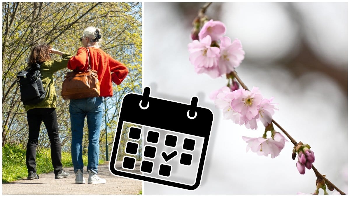 Två kvinnor står och pratar i naturen och körsbärsblommor