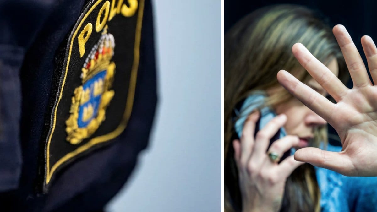 Två män med koppling till kriminella nätverk i Malmö har häktats misstänkta för flera fall av grov misshandel och misshandel av normalgraden.