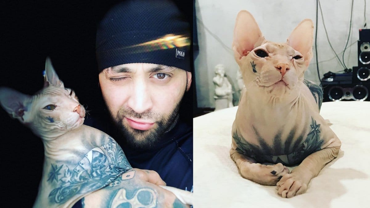 Man-har-tatuerat-sin-katt