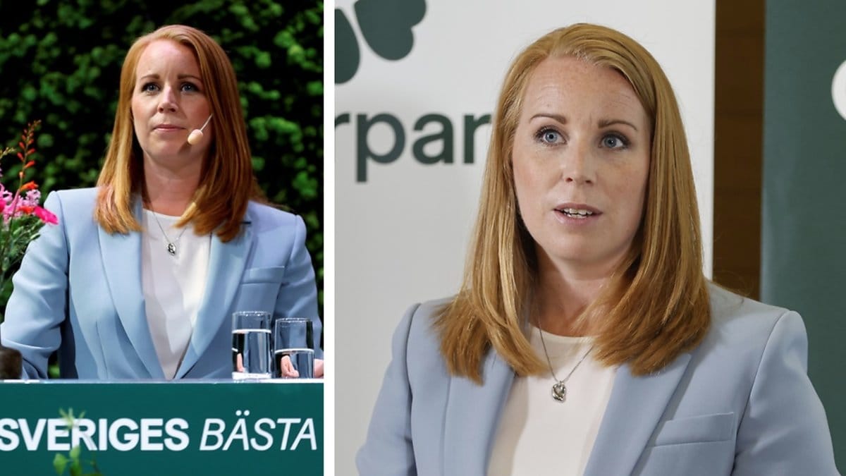 Annie Lööf har tilldelats ett målsägandebiträde av Gotlands tingsrätt.