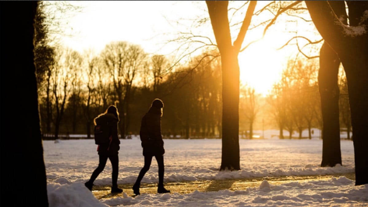 promenad i solen