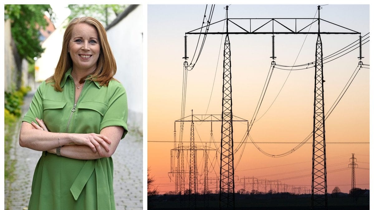 Centerpartiet vill öka all elproduktion.