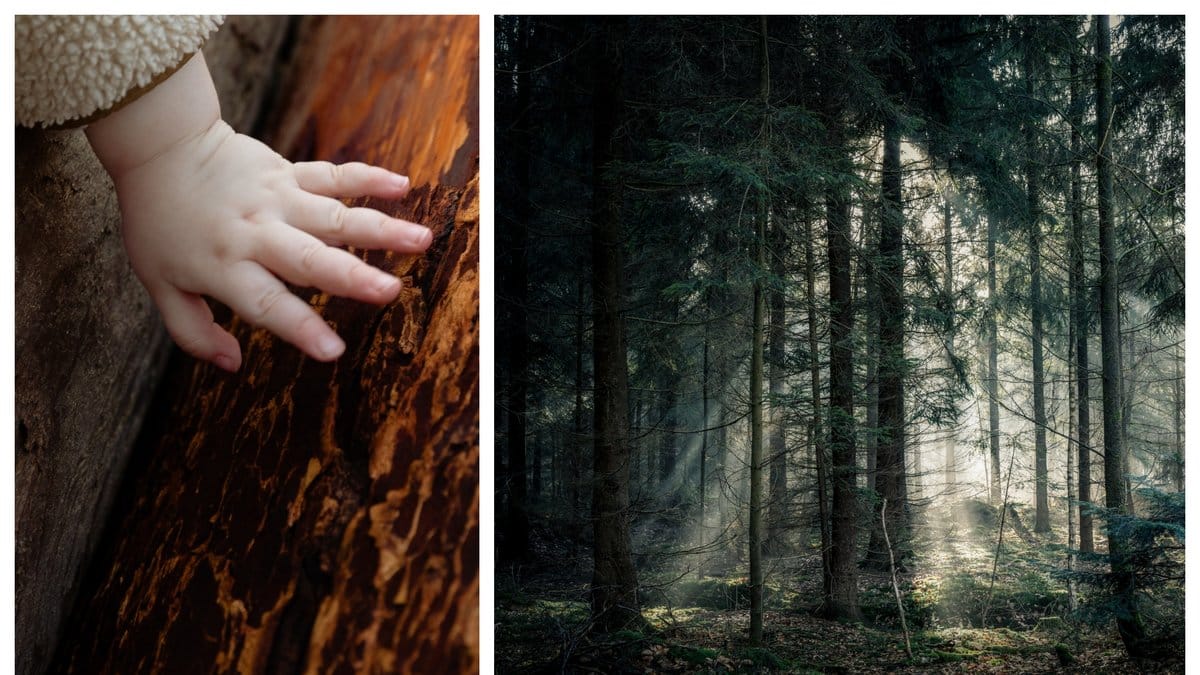 Tvååringen levde ensam i skogen i fyra dagar – utan mat och vatten.