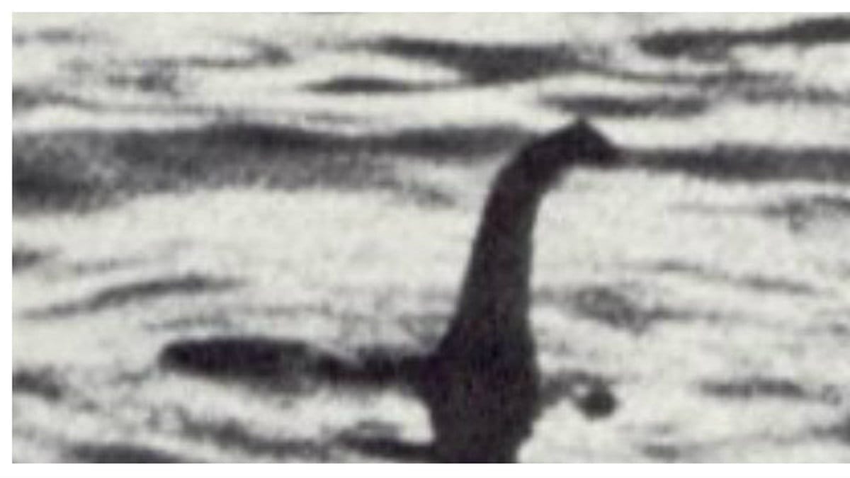 Nessie