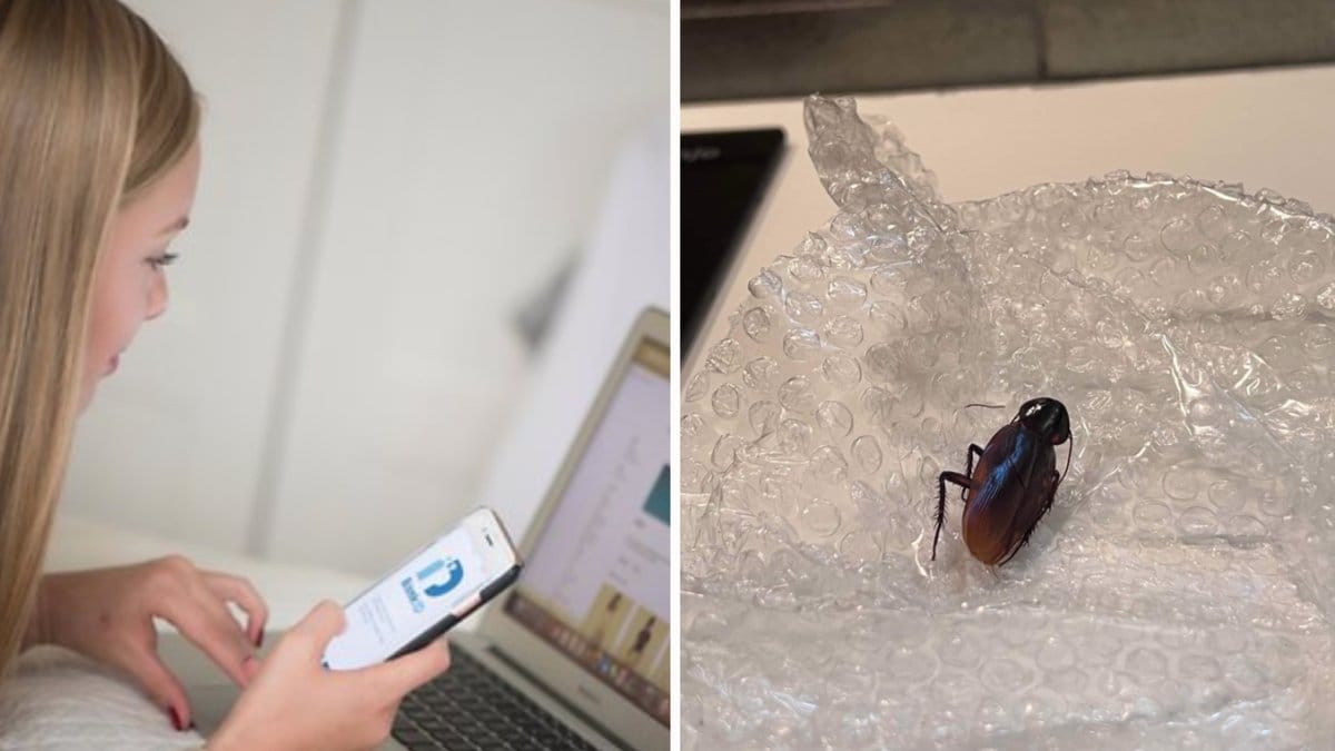 I paketet från Ellos låg det otäcka skadedjuret.