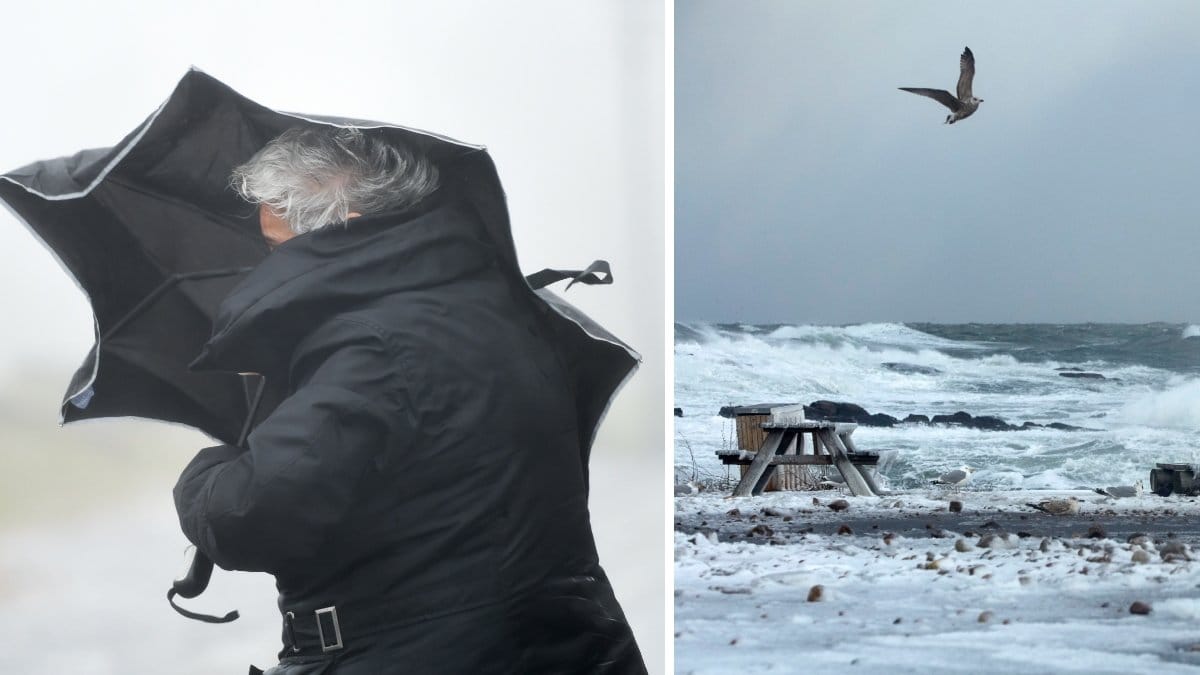 SMHI varnar för kraftiga vindar under helgen