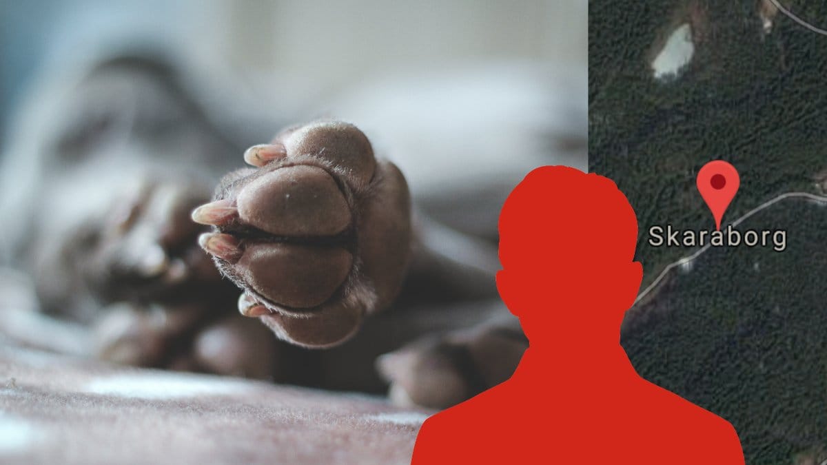 En-man-fran-Skaraborg-erkanner-sexuella-overgrepp-mot-hund