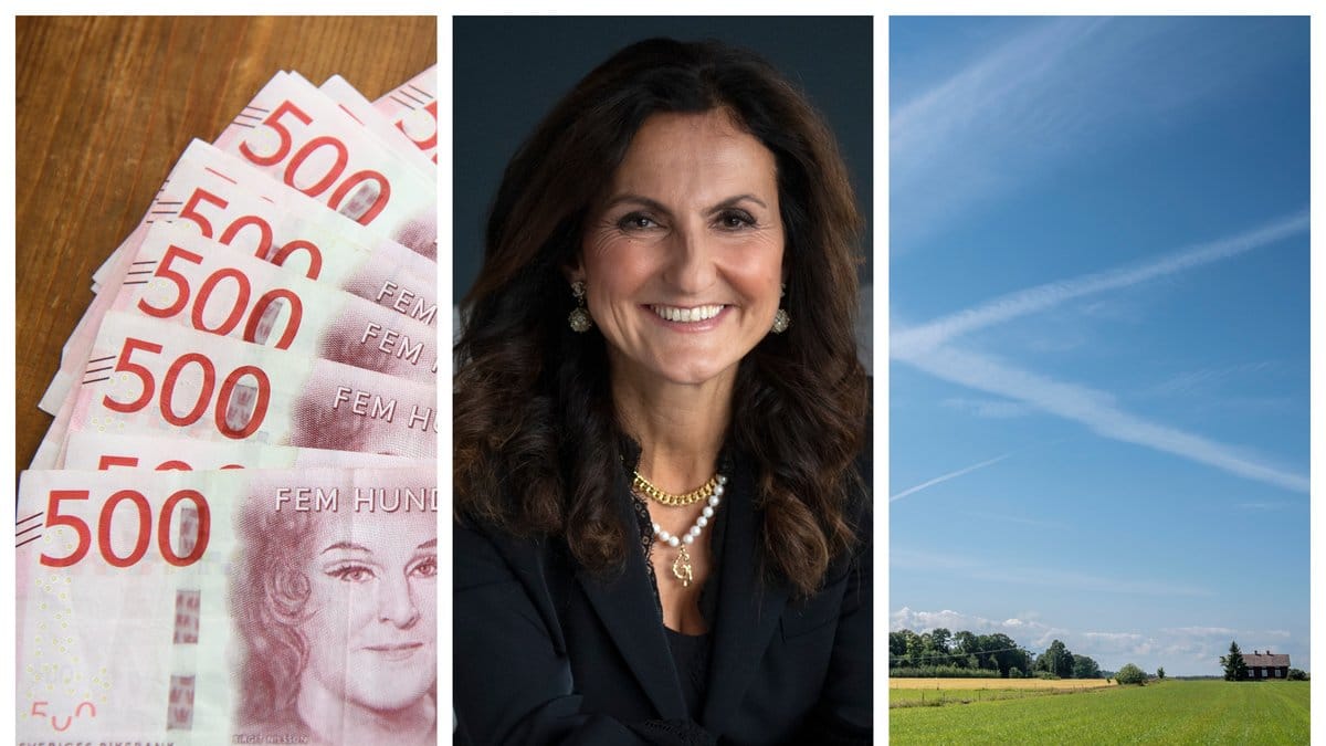 Gunilla von Platen har köpt Näsby Säteri för 175 miljoner kronor.