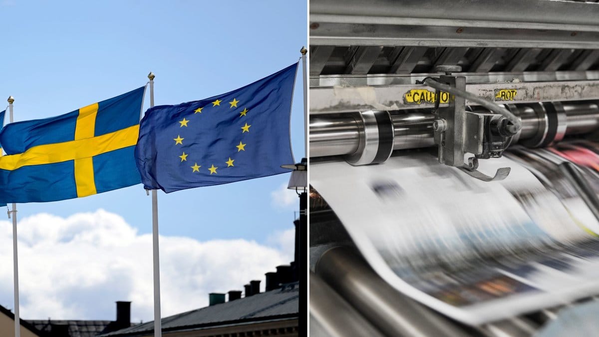 EU godkänner nytt mediastöd