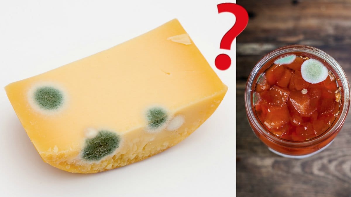 Mat-du-kan-ata-fast-den-moglar