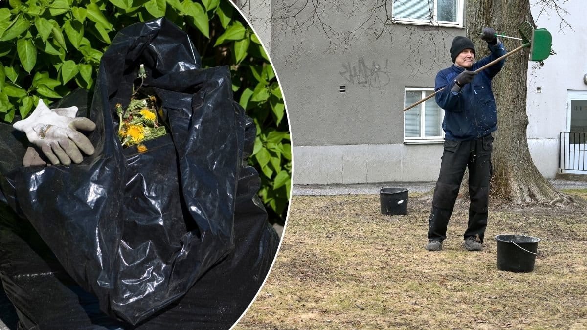 Trädgårdsavfall och en man som krattar en gräsmatta.