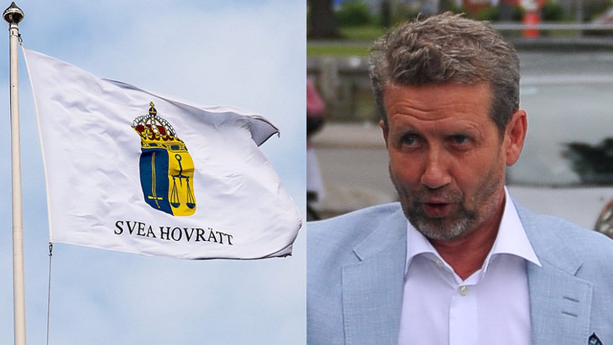 Martin Timell och Svea Hovrätt