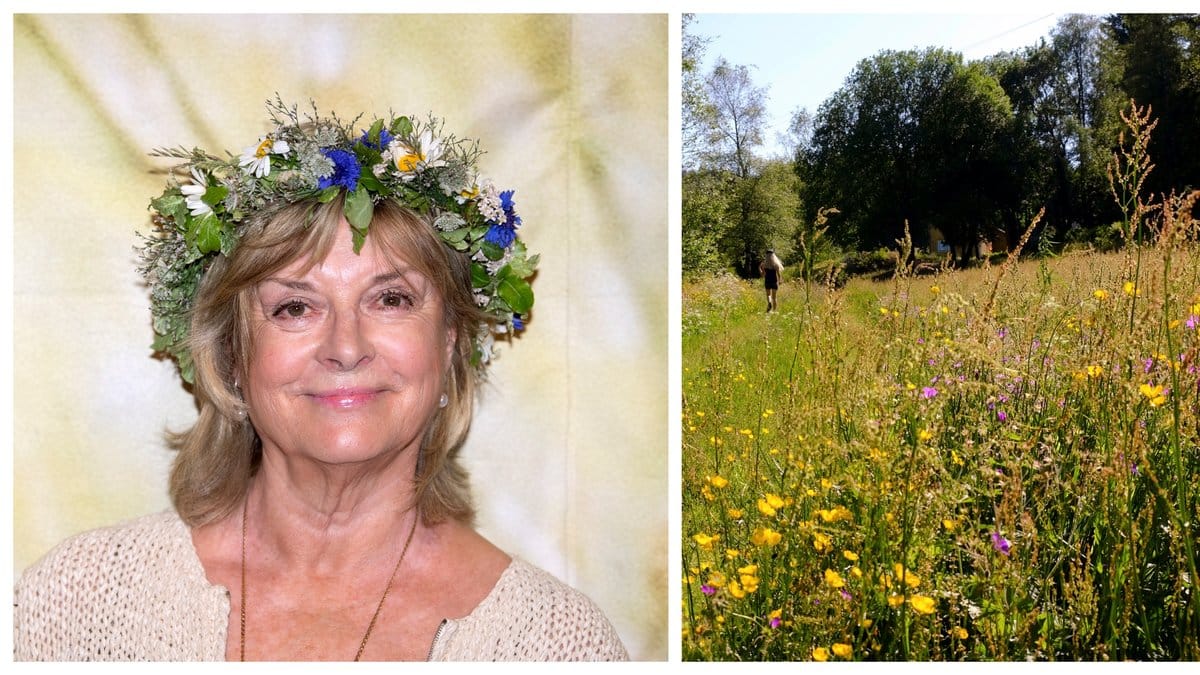 Grynet Molvig sommarpratar i P1.