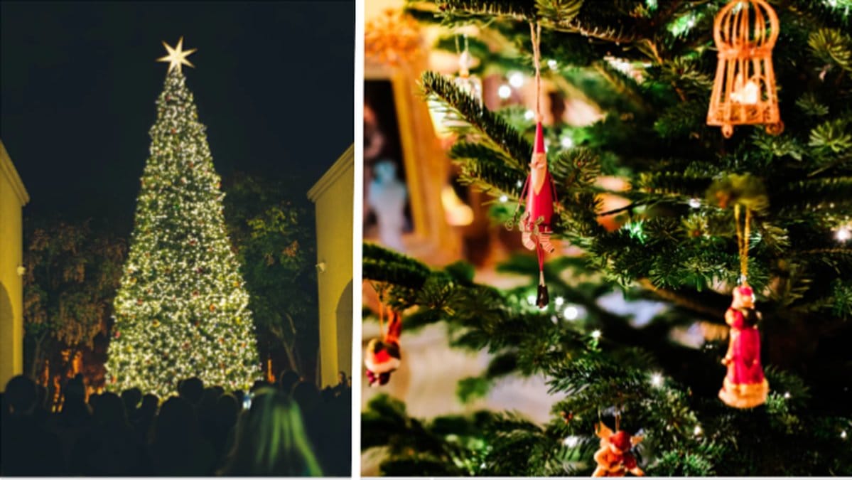 Julgran. 